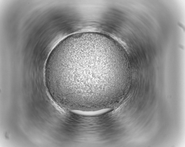 X0000093441423200711021045