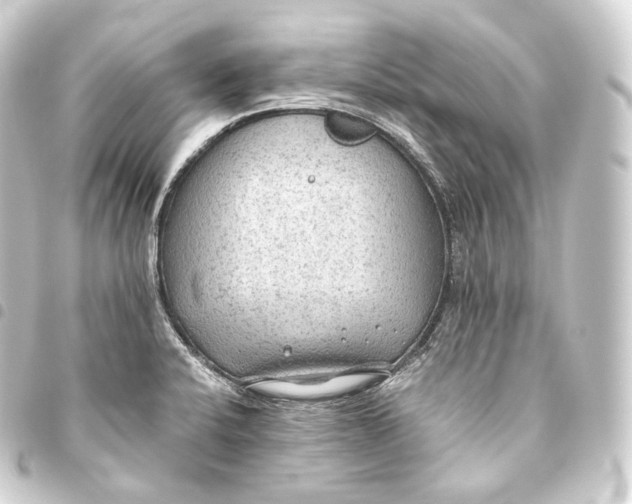 X0000093441424200711021045