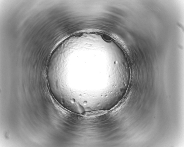 X0000093441425200711021045