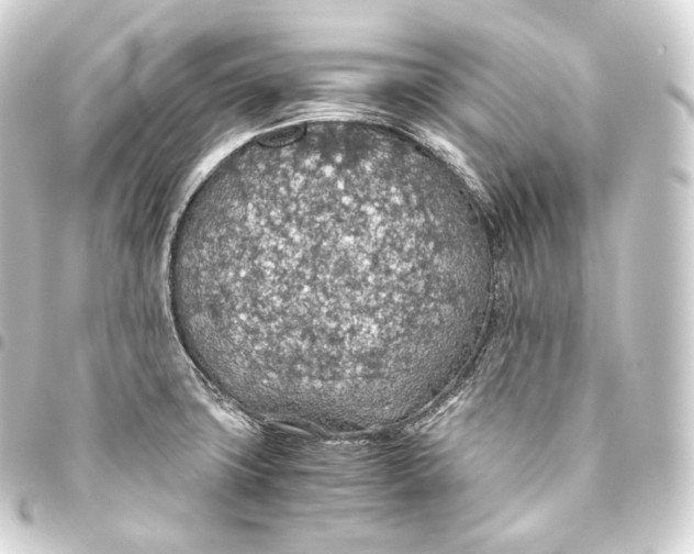 X0000093441427200711021045