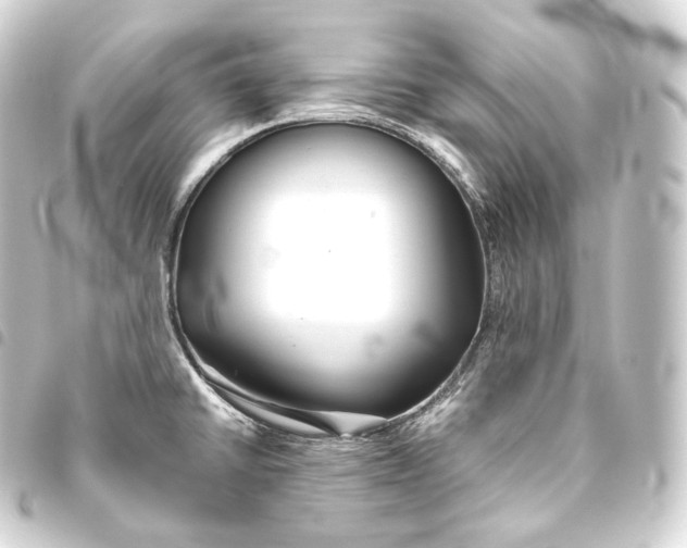 X0000093441430200711021045