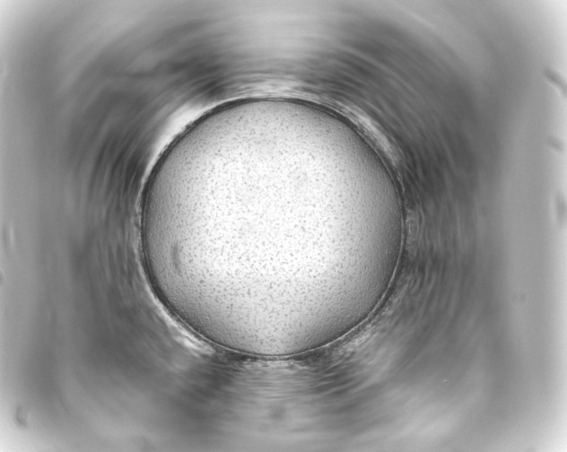 X0000093441432200711021045