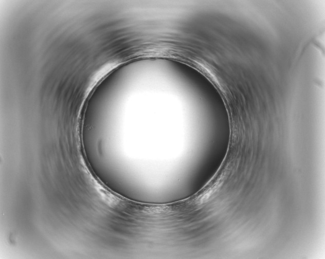 X0000093441434200711021045