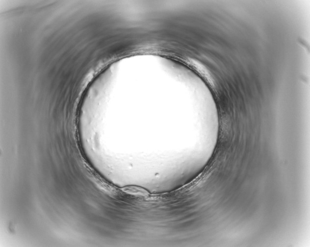 X0000093441435200711021045