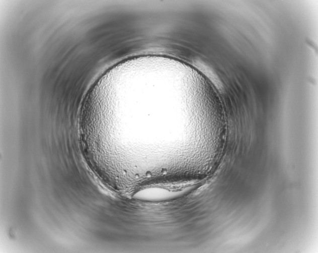 X0000093441436200711021045