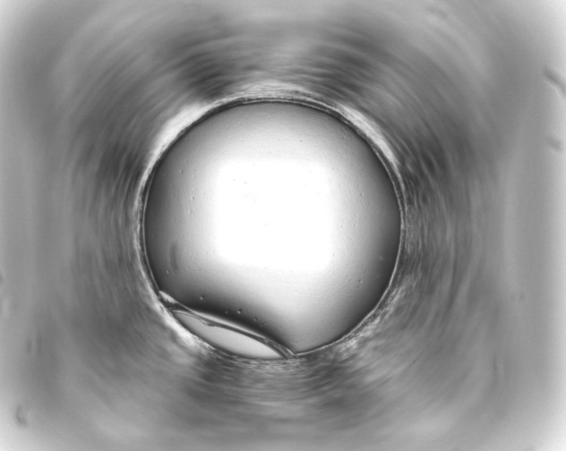 X0000093441437200711021045