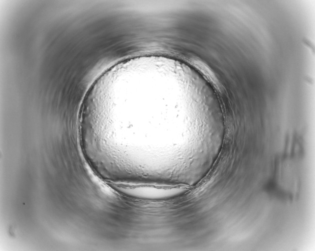 X0000093441439200711021045