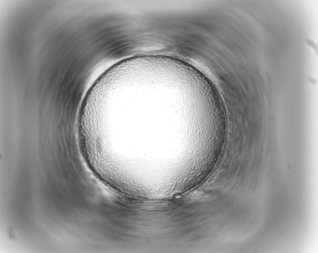 X0000093441440200711021045