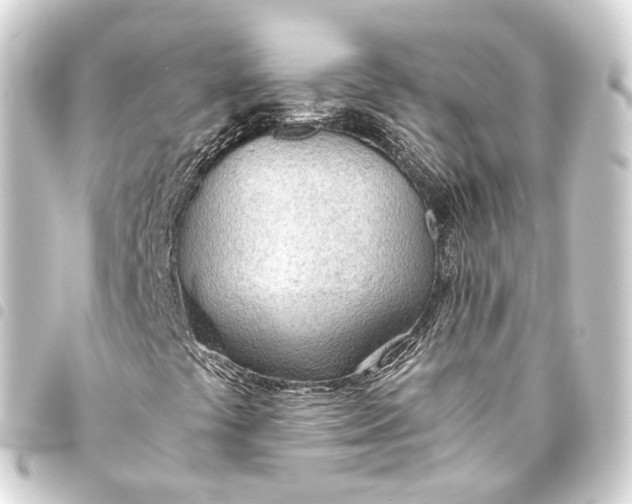 X0000093441441200711021045