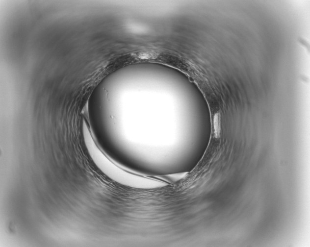 X0000093441443200711021045