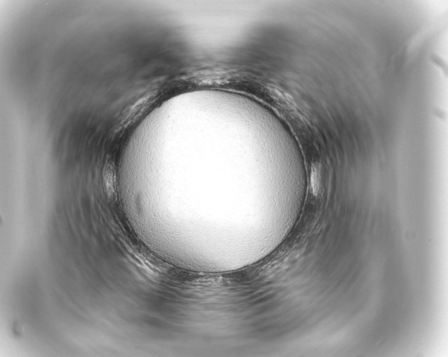 X0000093441444200711021045