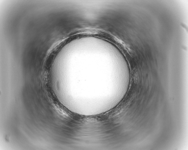 X0000093441448200711021045