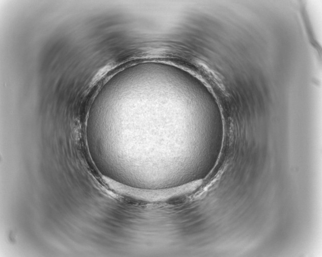 X0000093441449200711021045