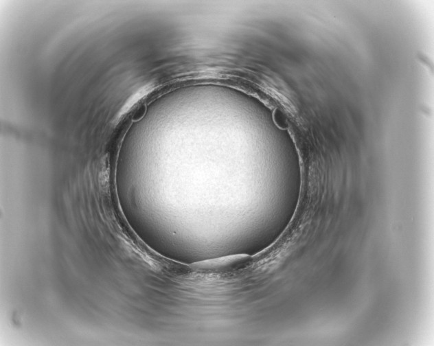 X0000093441450200711021045