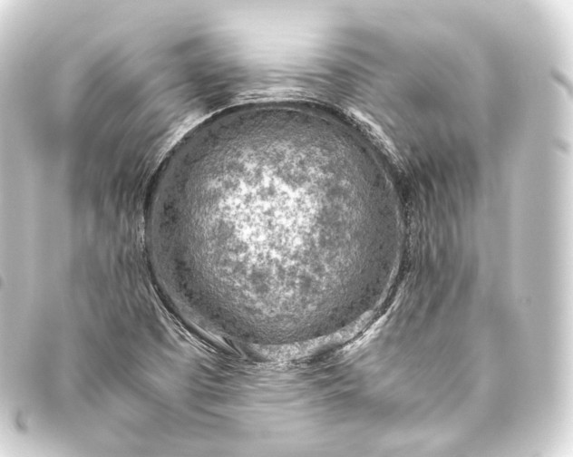 X0000093441457200711021044