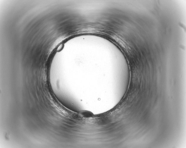 X0000093441458200711021044