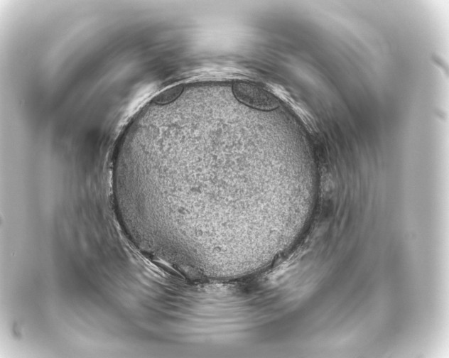 X0000093441459200711021044