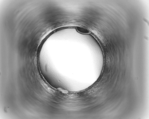 X0000093441460200711021044