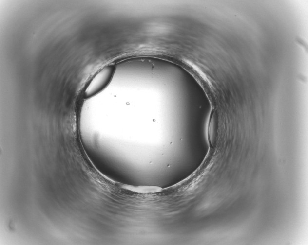 X0000093441461200711021044