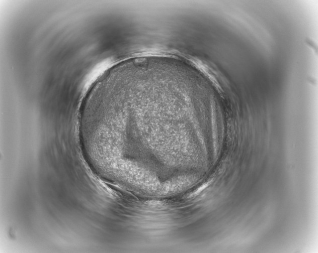 X0000093441463200711021044