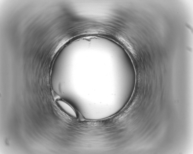 X0000093441465200711021044