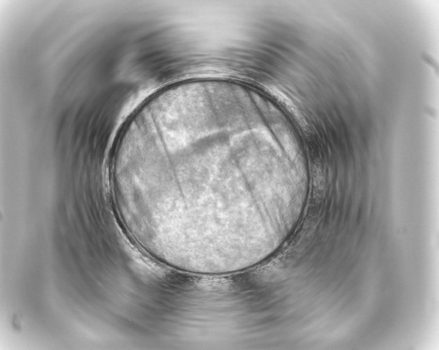 X0000093441466200711021044