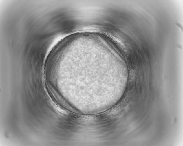 X0000093441470200711021044