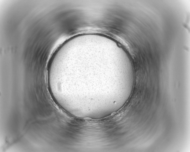 X0000093441472200711021044