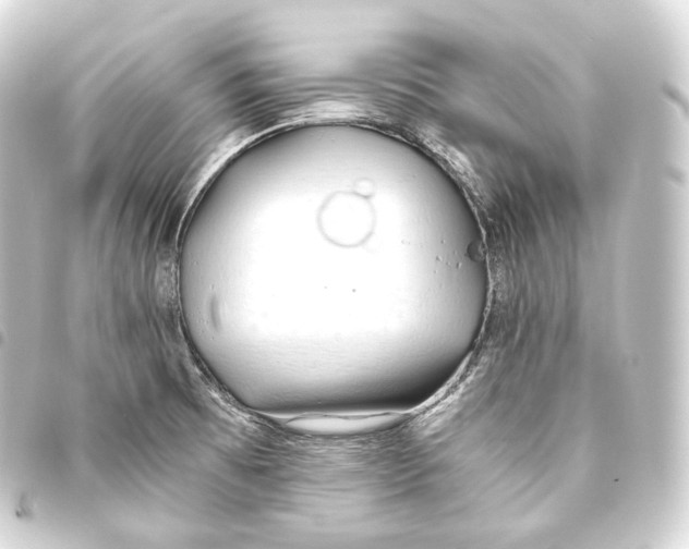 X0000093441473200711021044