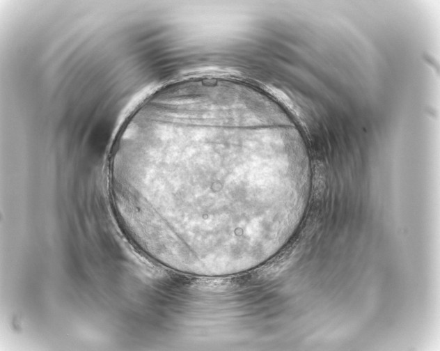 X0000093441474200711021044