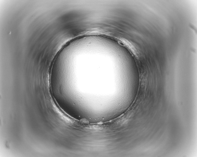 X0000093441476200711021044