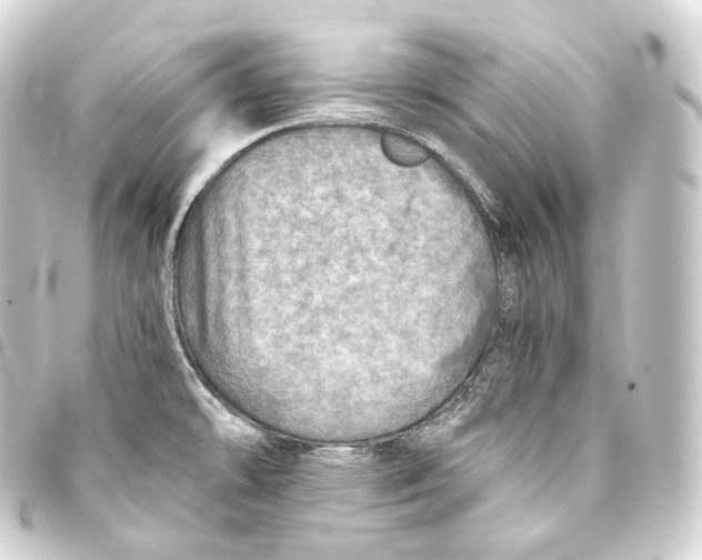 X0000093441478200711021044