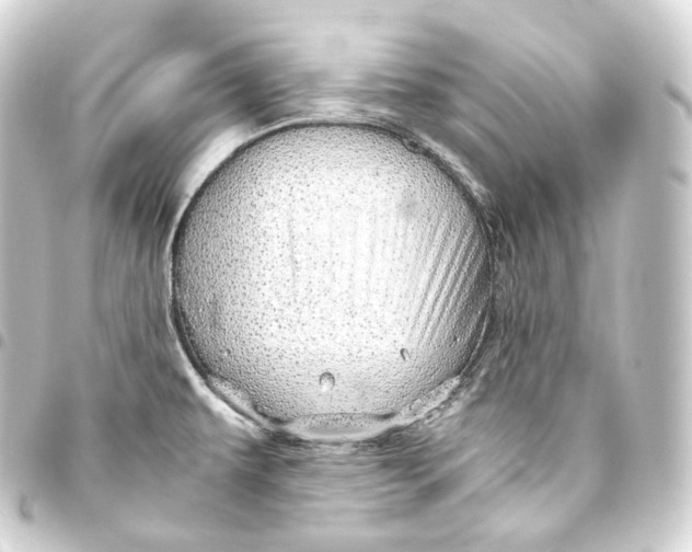 X0000093441479200711021044