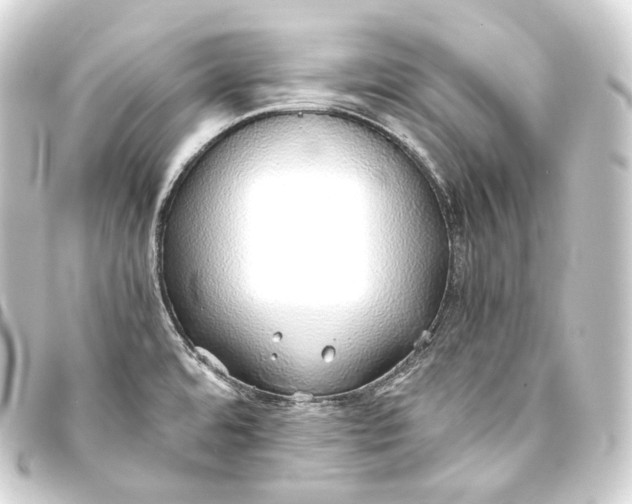 X0000093441480200711021044