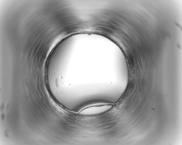 X0000093441483200711021044