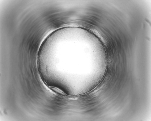 X0000093441484200711021044