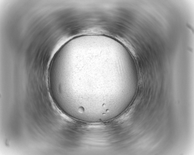 X0000093441486200711021044