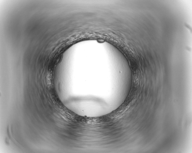 X0000093441490200711021044