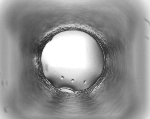 X0000093441494200711021044