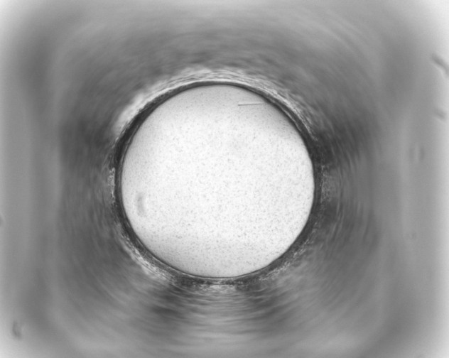 X0000093441503200711021044