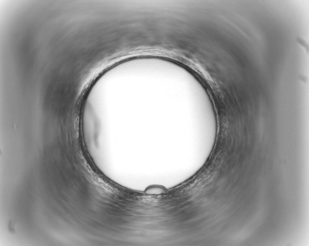 X0000093441504200711021044