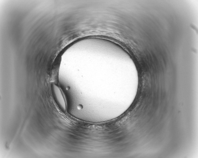 X0000093441505200711021044