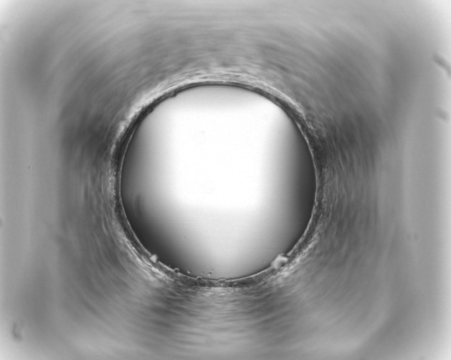 X0000093441506200711021044