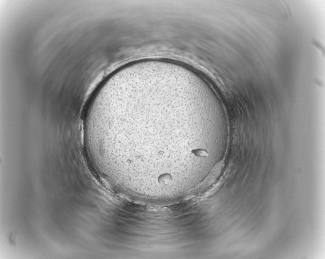 X0000093441509200711021044