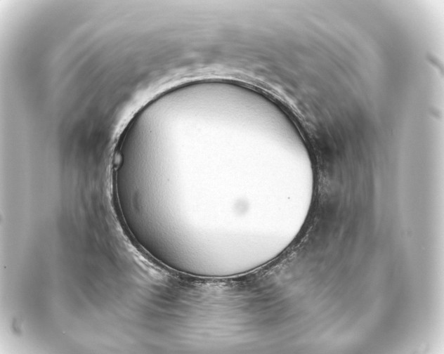 X0000093441512200711021044