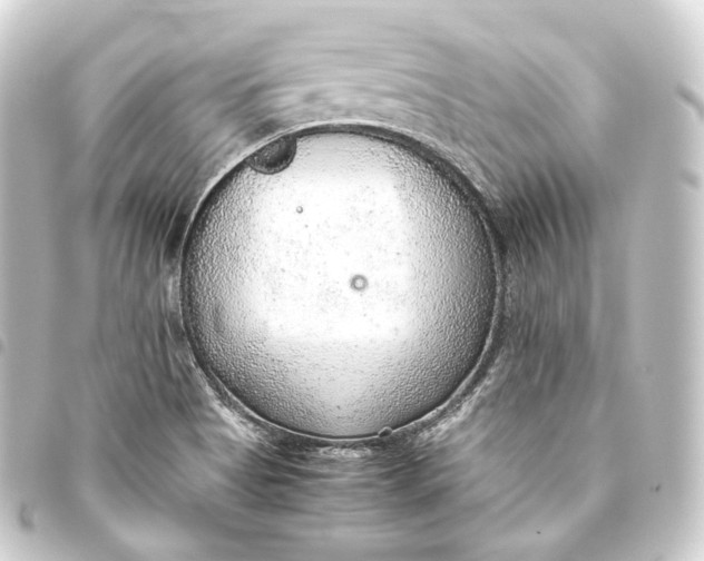 X0000093441513200711021044