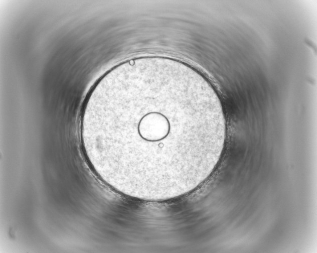 X0000093441514200711021044