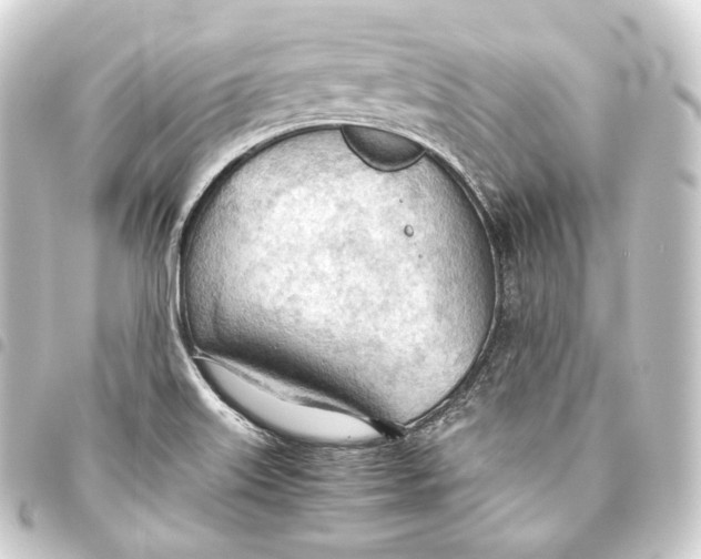 X0000093441515200711021044