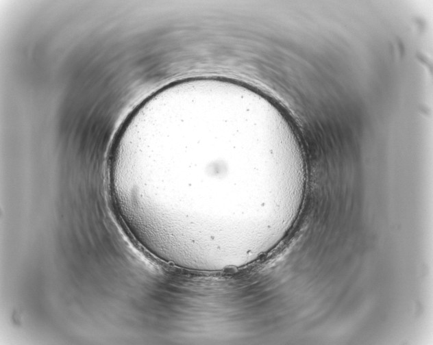 X0000093441517200711021044