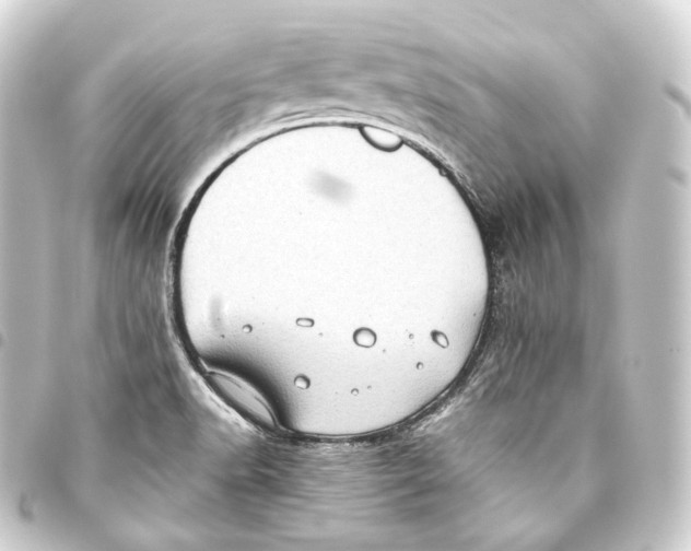 X0000093441518200711021044